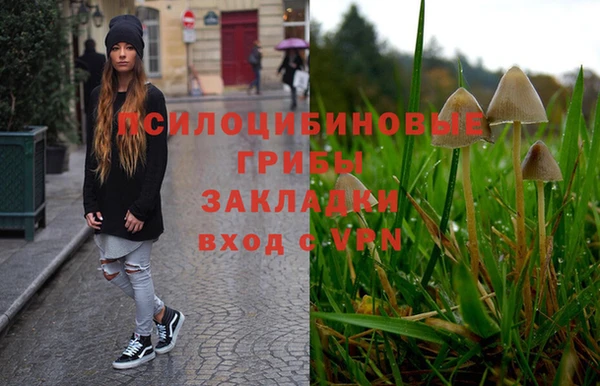 первитин Вяземский