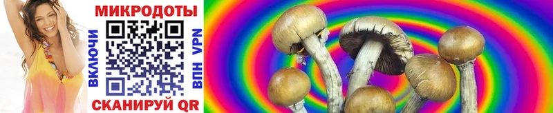 Галлюциногенные грибы мухоморы  Купить где  Отрадное 